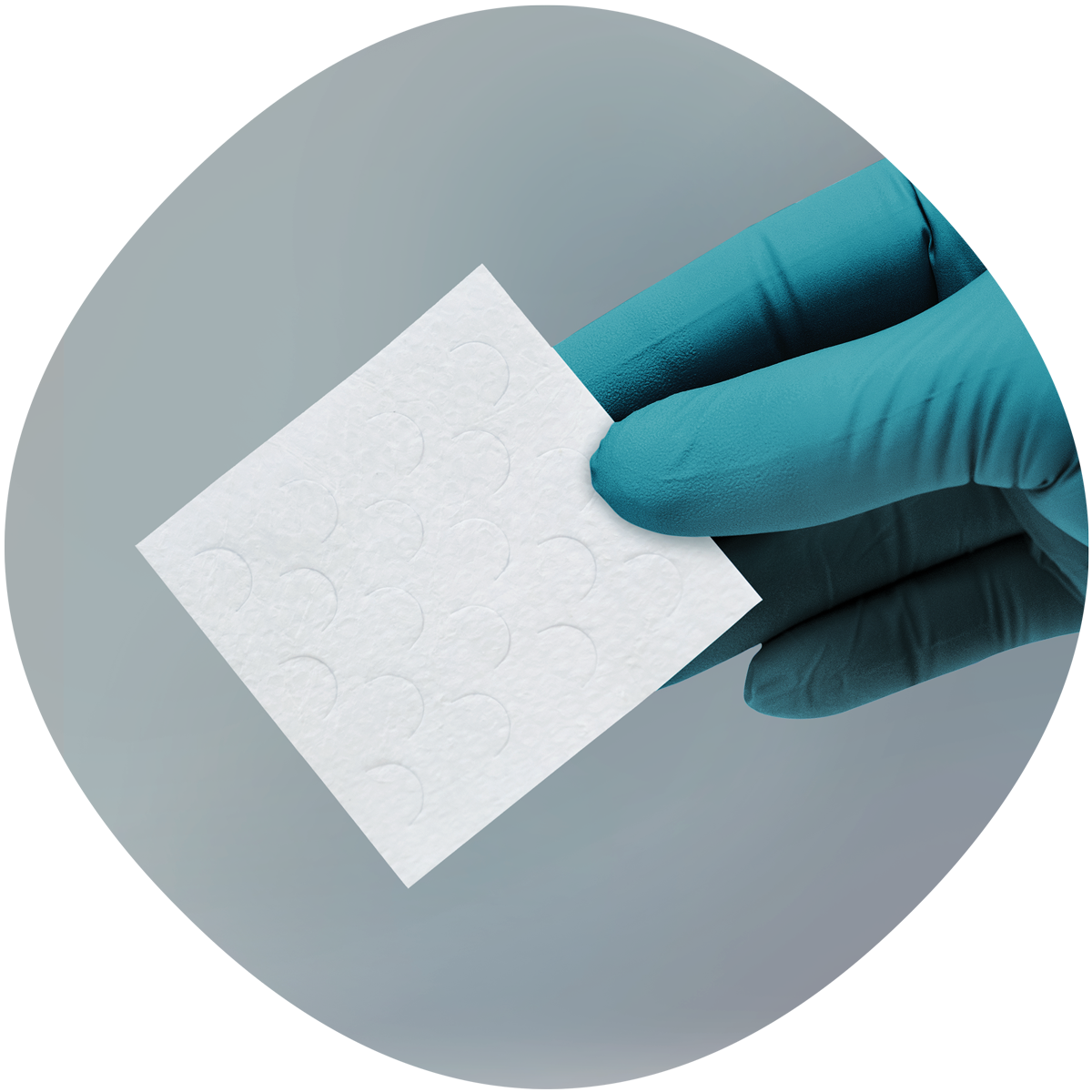 Endoform-product.png Endoform-product.png